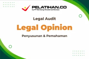 Legal Audit Legal Opinion